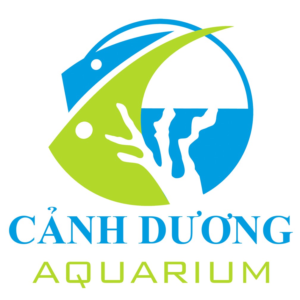 Xem mã giảm giá hocacanh.vn