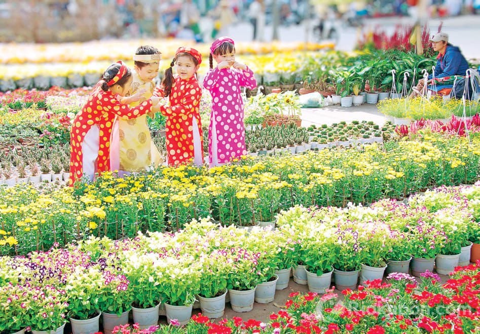 Hoa chưng ngày Tết đa sắc màu