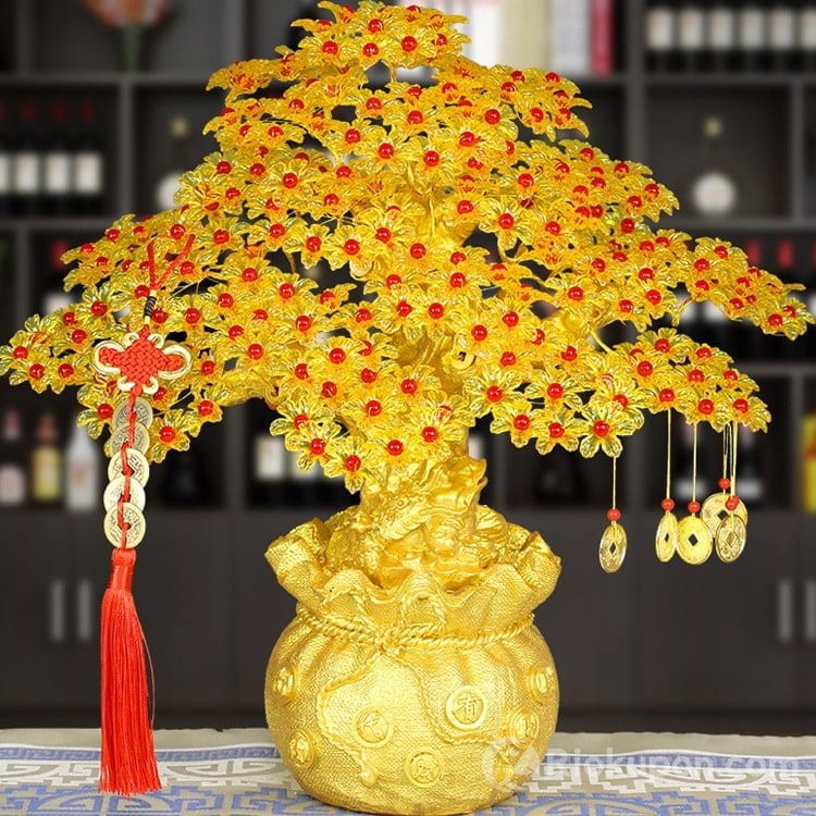 Cây kim tiền phát tài, phát lộc trang trí tết