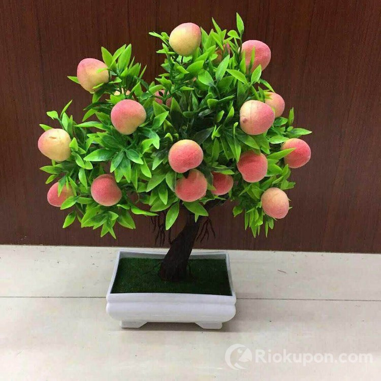 Chậu cây đào giả đỏ ửng trang trí Tết