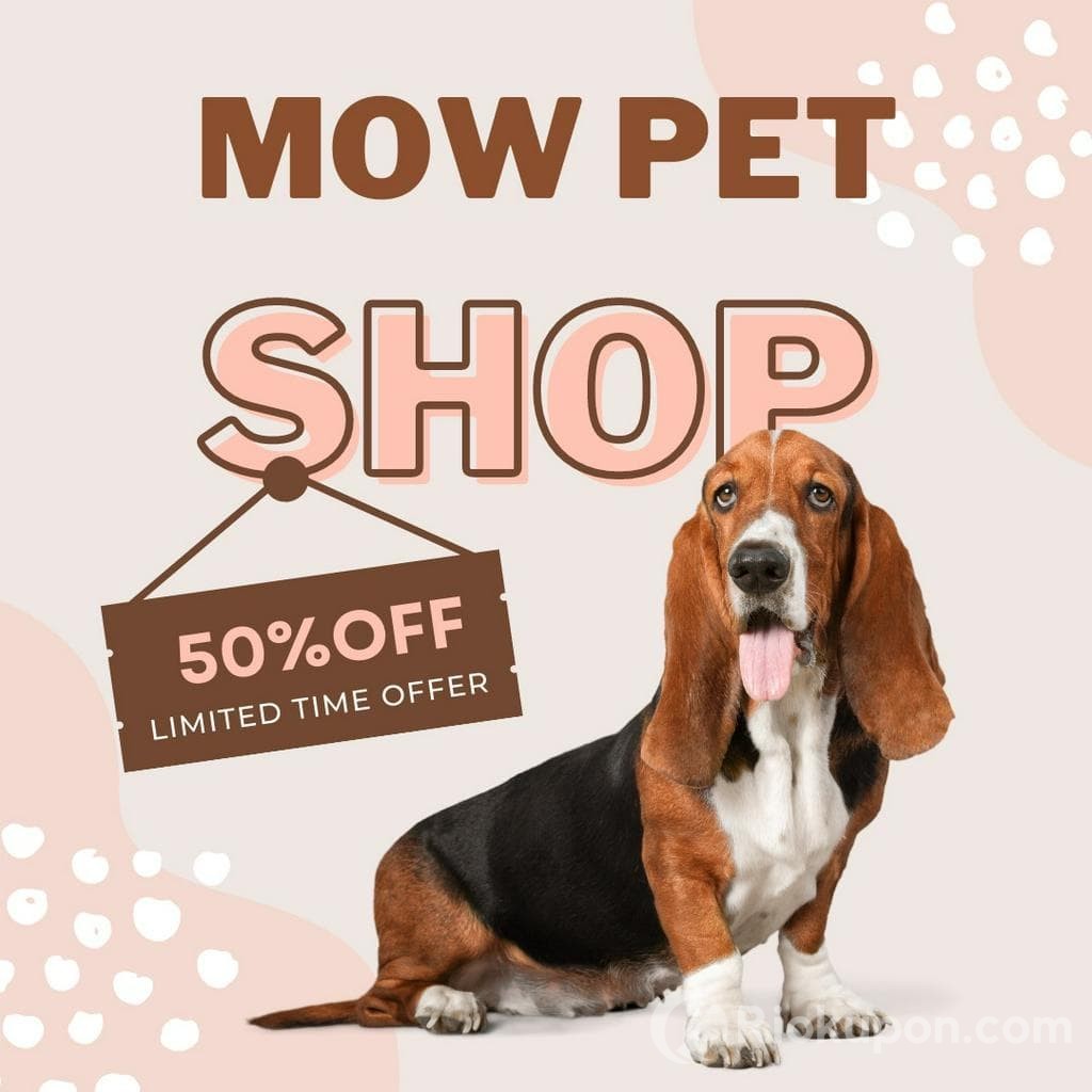 Gợi ý TOP 7 Shop bán quần áo cho chó uy tín mà các sen không nên bỏ qua