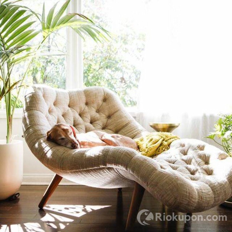 Ghế lười sofa màu pastel trong phòng khách hiện đại
