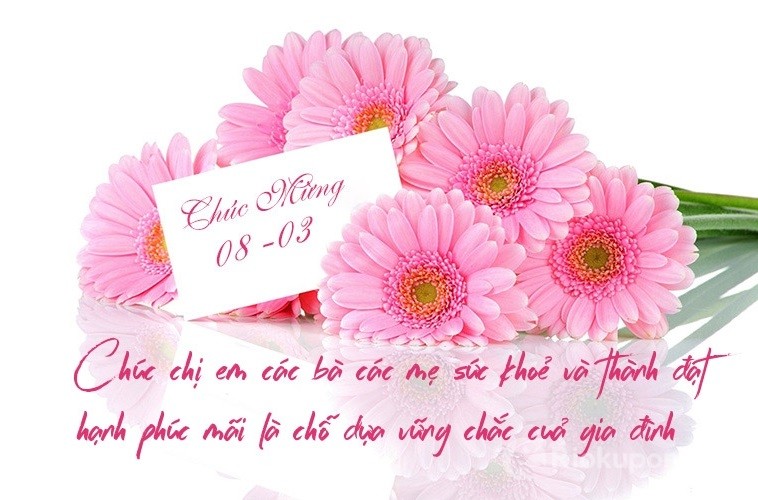 Những lời chúc 8/3 cho bạn bè hài hước, ngắn gọn, hottrend 2023