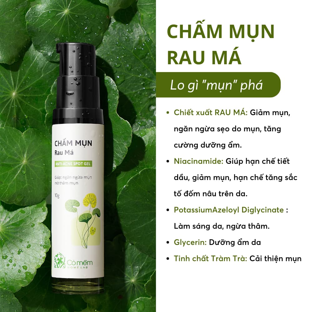 Review chấm mụn rau má Cỏ Mềm hiệu quả chỉ sau 1 đêm, đánh bay nỗi lo ...