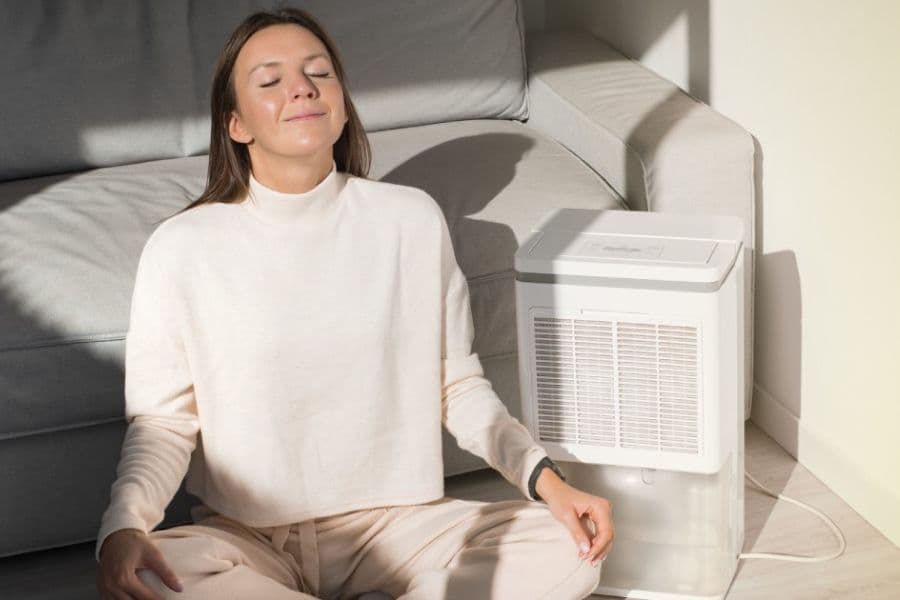 Các tiêu chí quan trọng khi chọn máy hút ẩm chống nồm