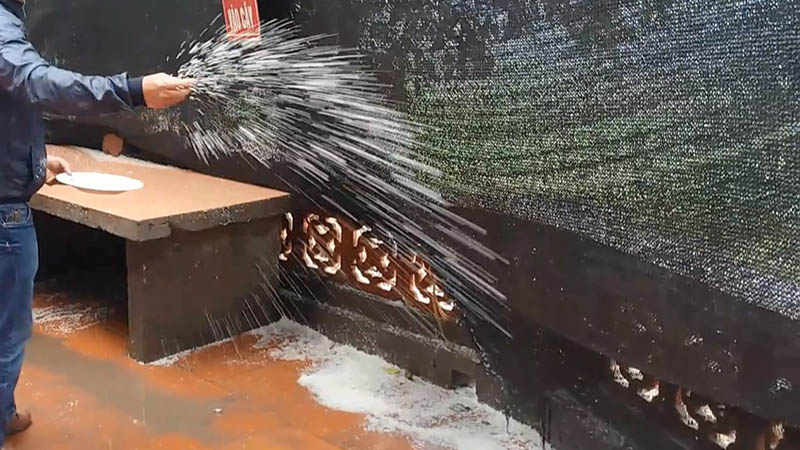 Hướng dẫn cách rải gạo muối đúng phong tục
