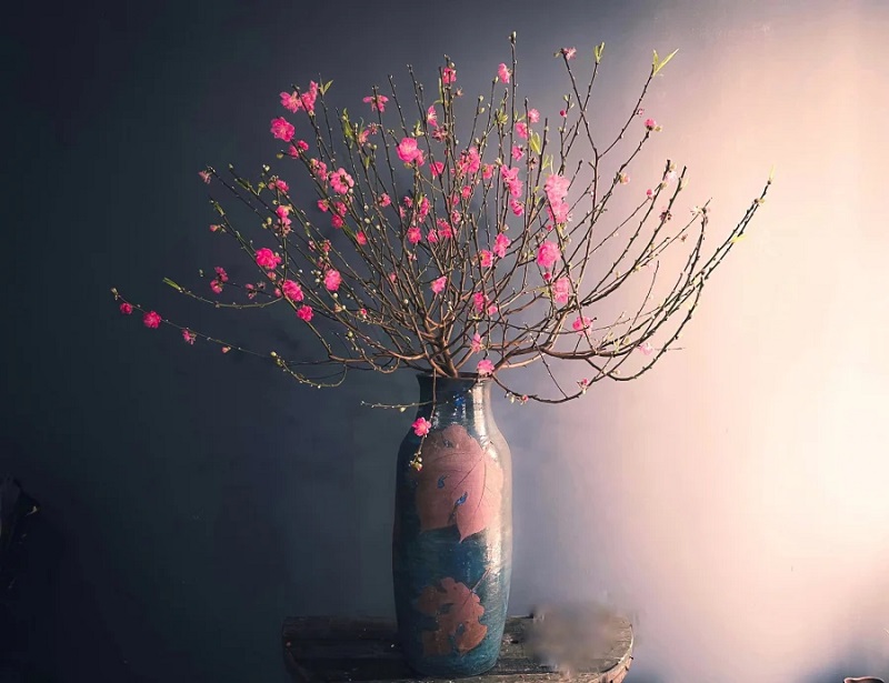 Điều chỉnh thời gian ra hoa đào