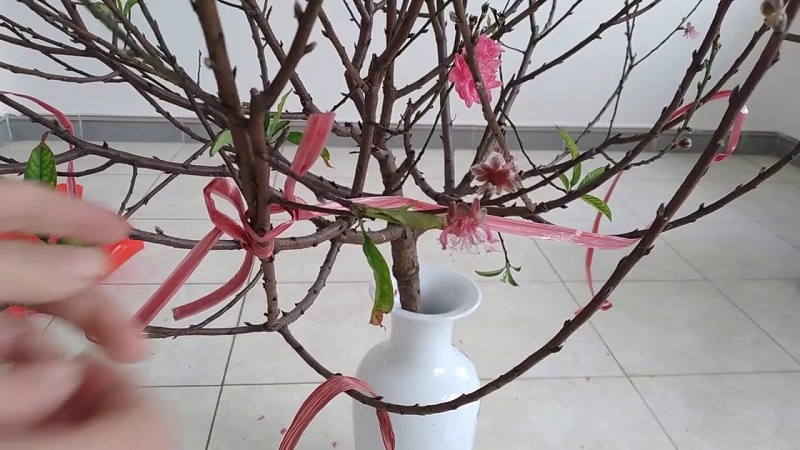 Lưu ý khi cắm hoa đào