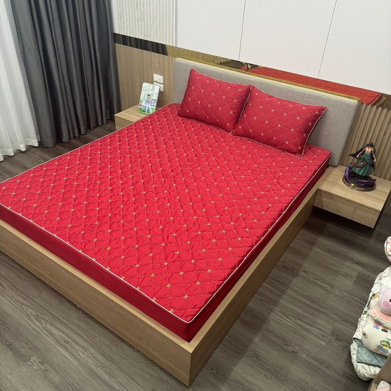 Bộ ga gối phi lụa trải giường ga trần bông bo chun