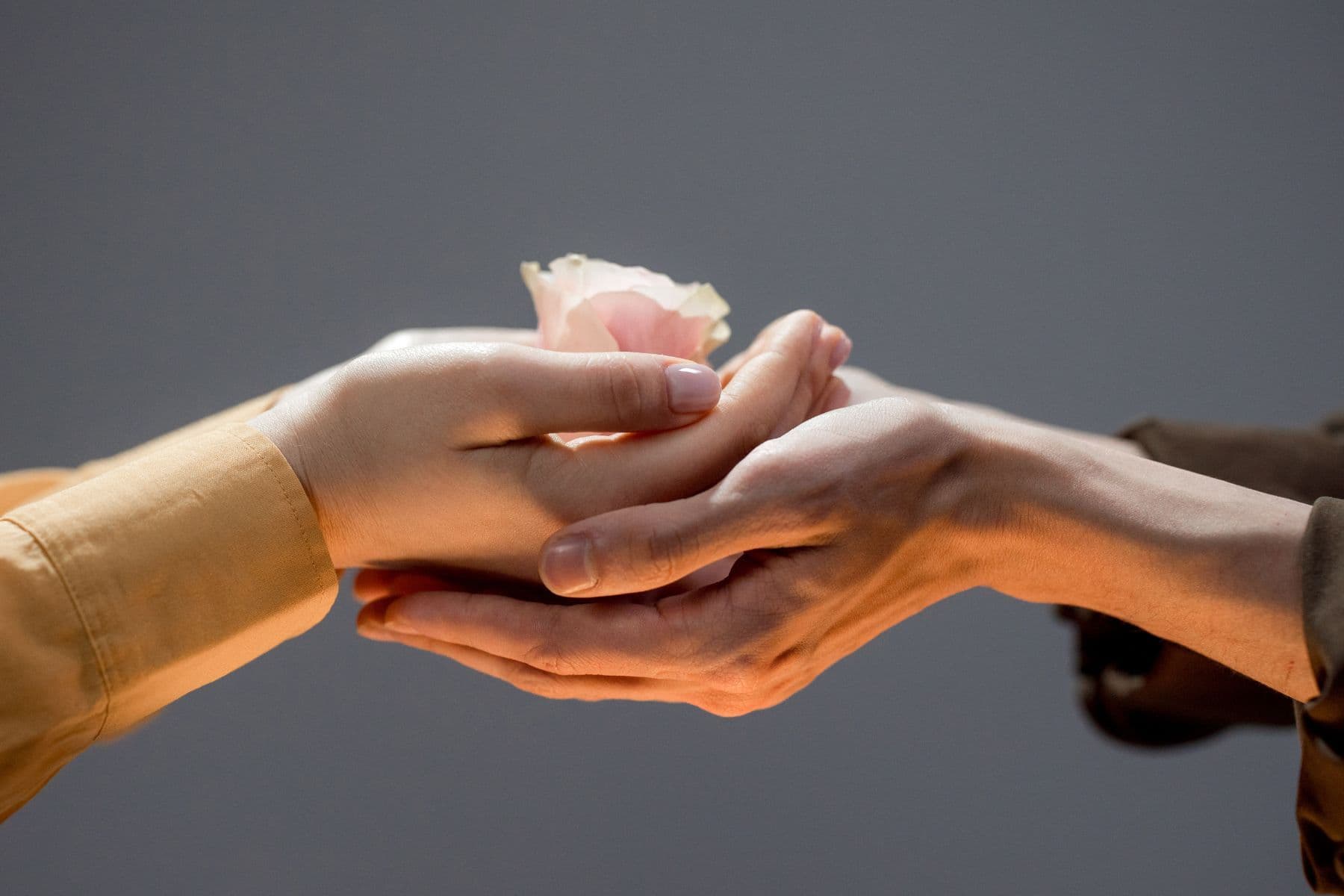 9 Điều nên làm trong ngày lễ Phật Đản giúp mang lại bình an, may mắn