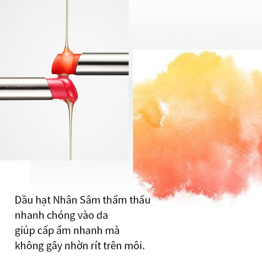 Thành phần son dưỡng Sulwhasoo Perfecting Lip Color được liệt kê rõ ràng, nhấn mạnh chiết xuất Nhân Sâm