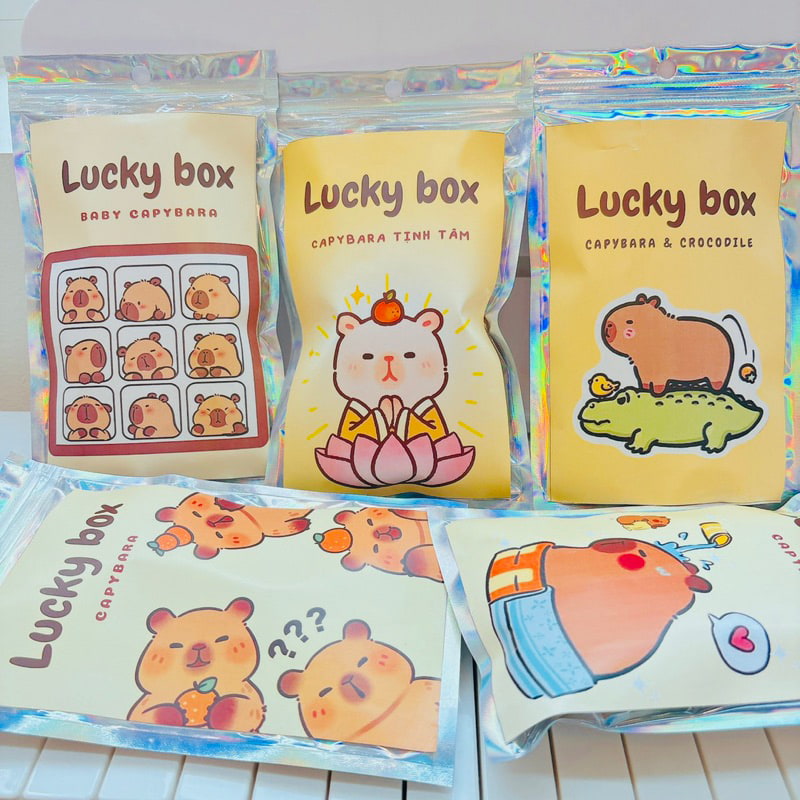 Túi mù Capybara với hình ảnh đáng yêu