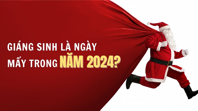 Cây thông Noel được trang trí lung linh đón chào Giáng Sinh 2024